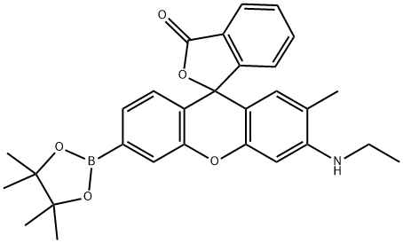 NucPE1 Struktur