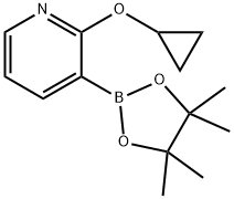 Pyridine, 2-(cyclopropyloxy)-3-(4,4,5,5-tetramethyl-1,3,2-dioxaborolan-2-yl)- Struktur