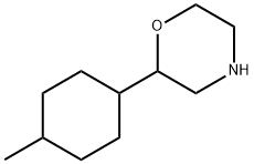 Morpholine,2-(4-methylcyclohexyl)- Struktur