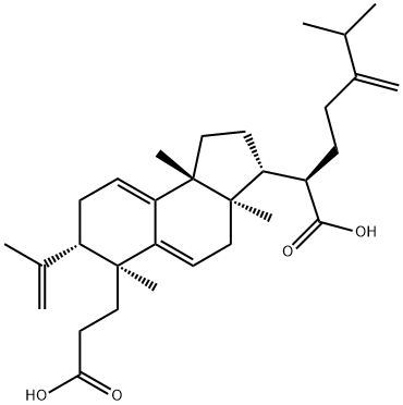  化學(xué)構(gòu)造式