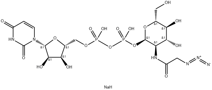 UDP-GlcNAz.2Na Structure