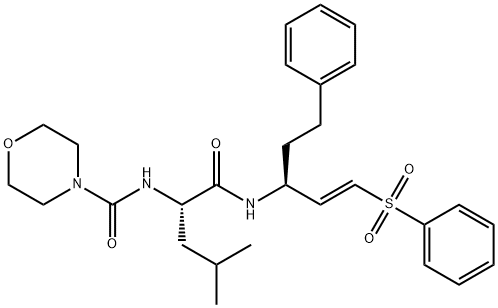 LHVS Struktur