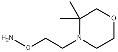 Morpholine, 4-[2-(aminooxy)ethyl]-3,3-dimethyl- Struktur