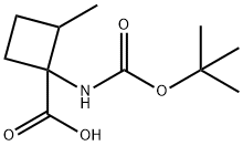 Cyclobutanecarboxylic acid, 1-[[(1,1-dimethylethoxy)carbonyl]amino]-2-methyl- Struktur