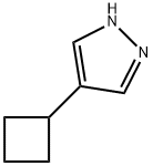 1H-Pyrazole, 4-cyclobutyl- Struktur