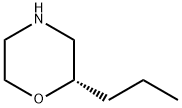 Morpholine, 2-propyl-, (2S)- Struktur