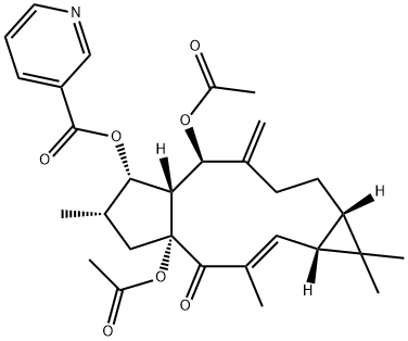 218916-53-1 Structure