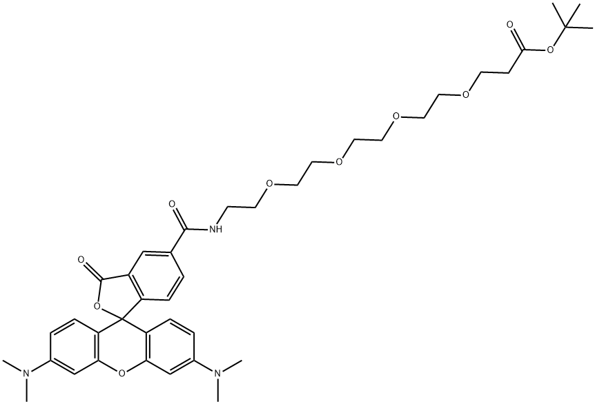 TAMRA-PEG4-t-butyl ester Struktur