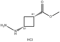 Cyclobutanecarboxylic acid, 3-hydrazinyl-, methyl ester, hydrochloride (1:1), cis- Struktur