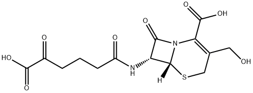 DEACETYLCEPHALOSPORIN C Struktur