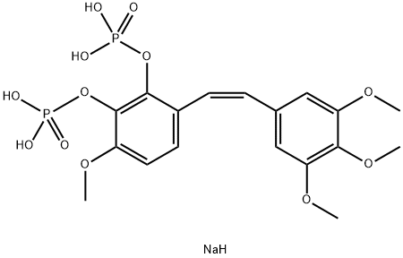 CA1P