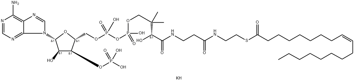 Oleoyl coenzyme A potassium salt Structure