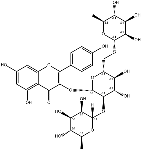 clitorin Struktur