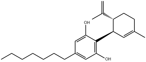 CBDP Struktur