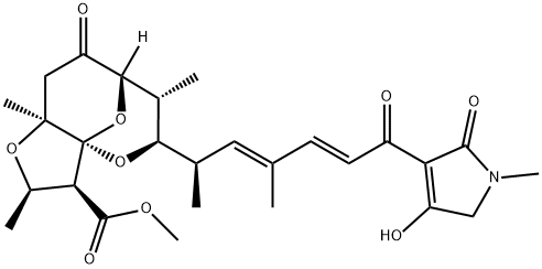 BU-2313 A Struktur