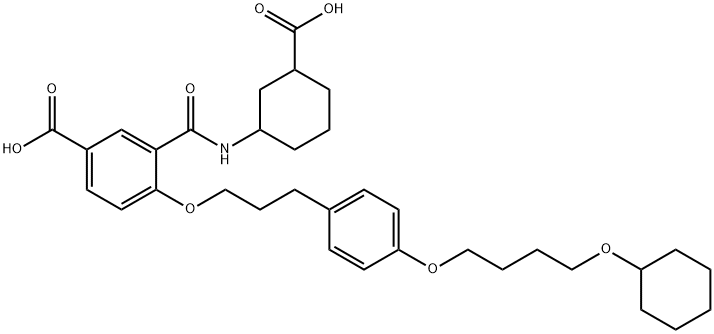 HAMI3379 Struktur