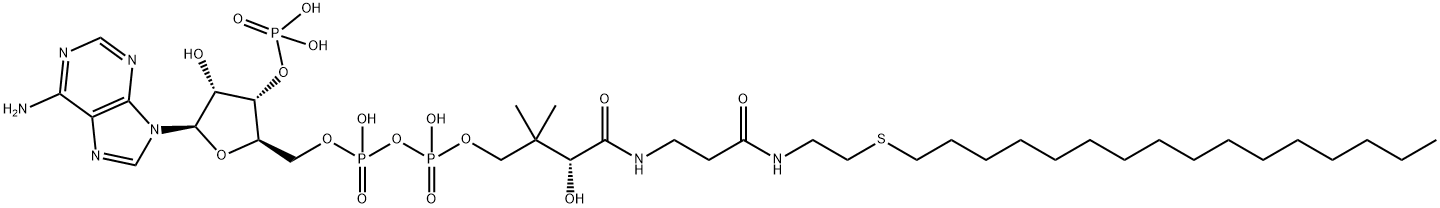 Coenzyme A, S-hexadecyl- Struktur