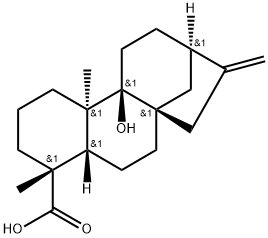 Pterokaurene L3 Struktur