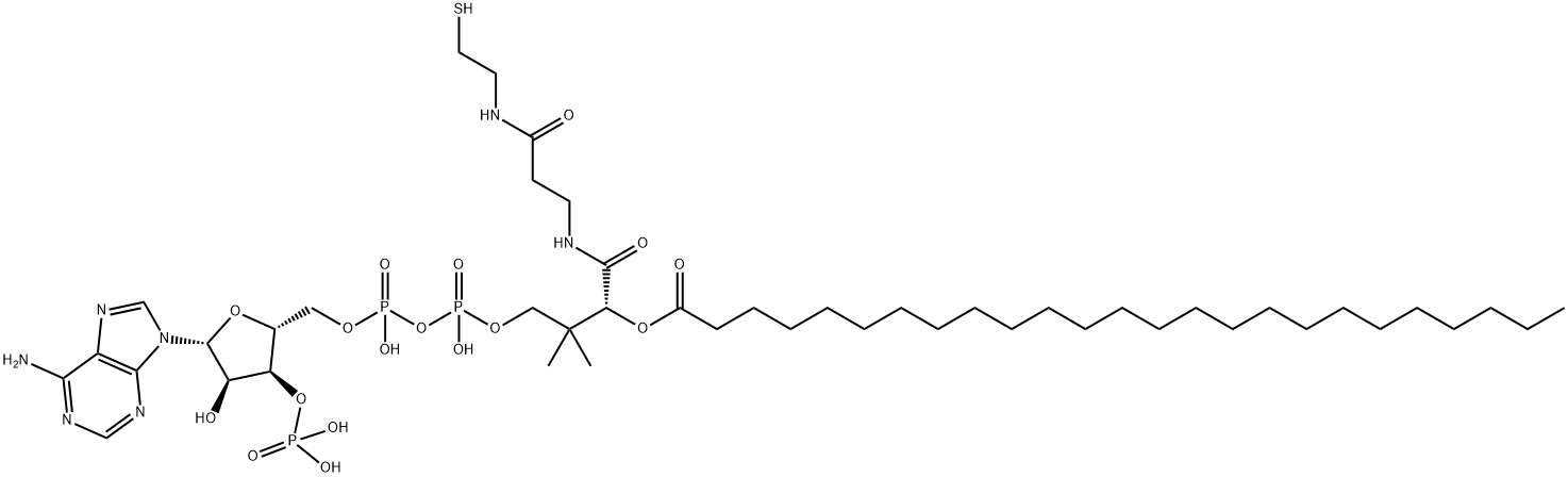 25:0 COENZYME A Struktur