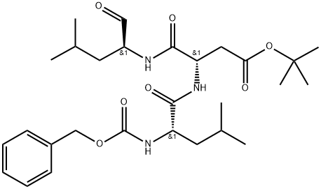 BSc2118 Struktur