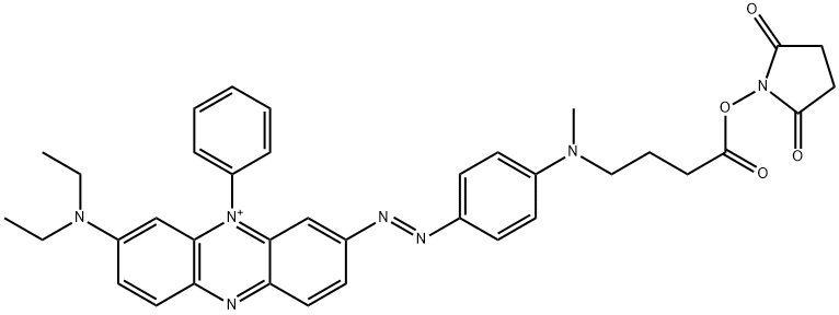 Phenazinium, 3-(diethylamino)-7-[2-[4-[[4-[(2,5-dioxo-1-pyrrolidinyl)oxy]-4-oxobutyl]methylamino]phenyl]diazenyl]-5-phenyl- Struktur