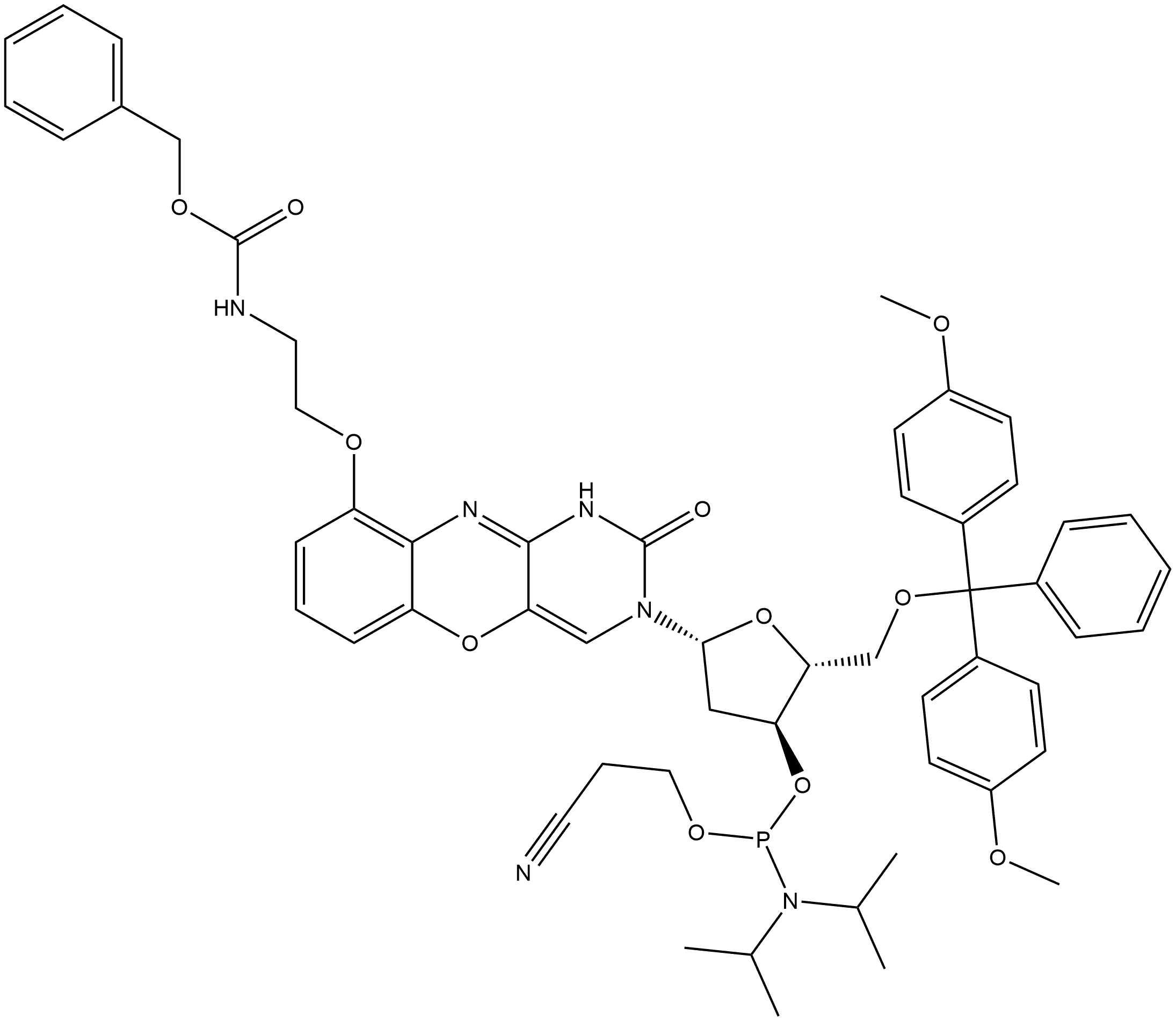 8-OxoG Clamp CEP Struktur