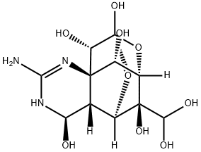 11-oxotetrodotoxin Struktur