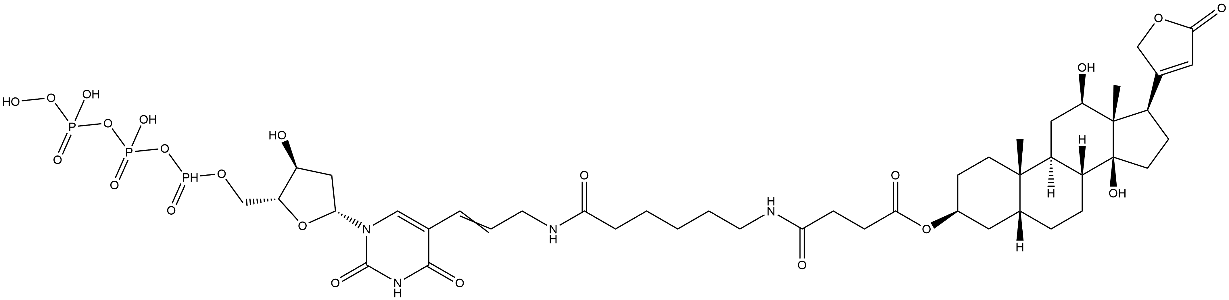 Digoxigenin-11-dUTP Struktur