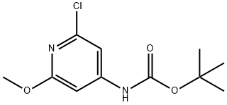 Carbamic acid, N-(2-chloro-6-methoxy-4-pyridinyl)-, 1,1-dimethylethyl ester Struktur