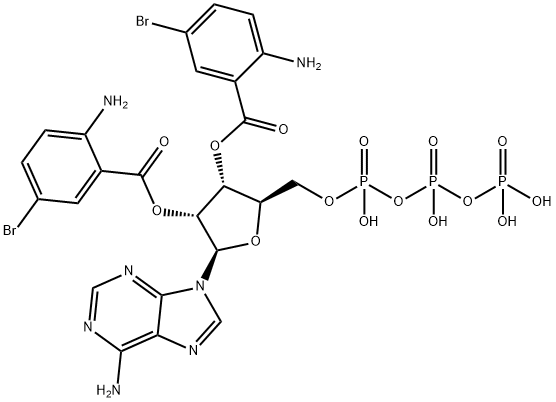 Bis-Br-ANT-ATP Struktur