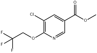 methyl 5-chloro-6-(2,2,2-trifluoroethoxy)nicotinate Struktur