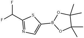 Thiazole, 2-(difluoromethyl)-5-(4,4,5,5-tetramethyl-1,3,2-dioxaborolan-2-yl)- Struktur