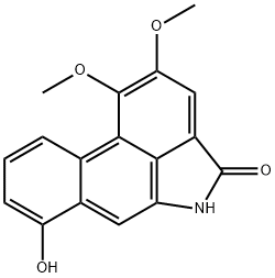 Velutinam Struktur