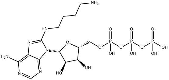 8-[(4-Amino)butyl]-amino-ATP Struktur