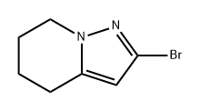 Pyrazolo[1,5-a]pyridine, 2-bromo-4,5,6,7-tetrahydro- Struktur