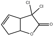 2H-Cyclopenta[b]furan-2-one, 3,3-dichloro-3,3a,6,6a-tetrahydro- Struktur