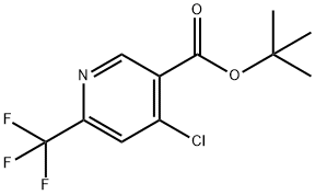 4-氯-6-(三氟甲基)煙酸叔丁酯, 2206752-25-0, 結(jié)構(gòu)式