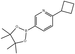 2-cyclobutyl-5-(4,4,5,5-tetramethyl-1,3,2-dioxabor olan-2-yl)pyridine Struktur