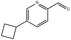 5-Cyclobutyl-2-pyridinecarboxaldehyde Struktur