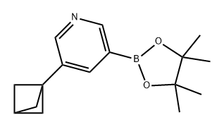 Pyridine, 3-bicyclo[1.1.1]pent-1-yl-5-(4,4,5,5-tetramethyl-1,3,2-dioxaborolan-2-yl)- Struktur