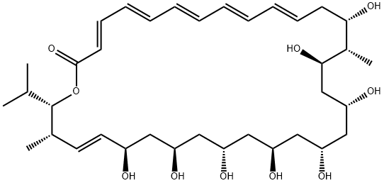 mycoticin A Struktur