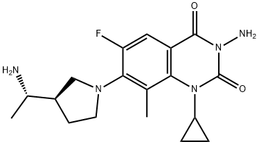 PD 0305970 Struktur