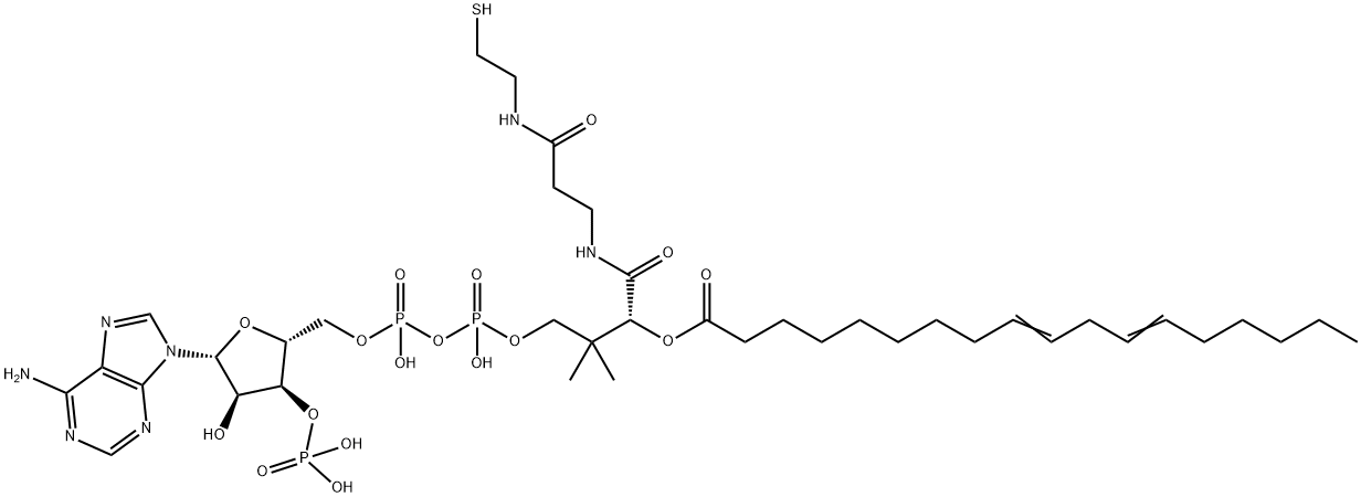 linoleoyl-coenzyme A Struktur