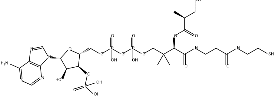 Coenzyme A, S-(3-hydroxy-2-methylpropanoate) Struktur