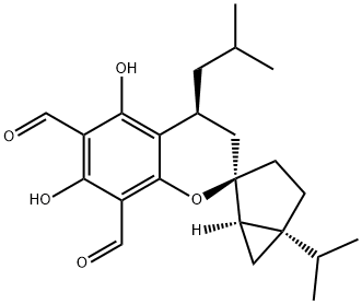 Euglobal Ib1 Struktur