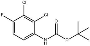 Carbamic acid, (2,3-dichloro-4-fluorophenyl)-, 1,1-dimethylethyl ester (9CI)