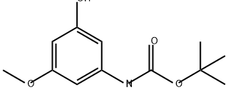 Carbamic acid, N-(3-hydroxy-5-methoxyphenyl)-, 1,1-dimethylethyl ester Struktur