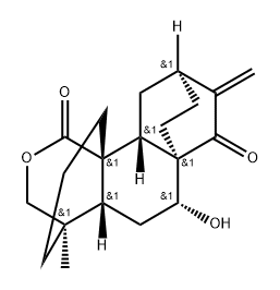 NC-043 Struktur