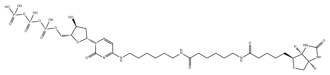 biotin-14-dCTP Struktur