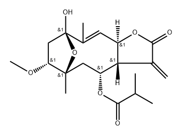 1β-Methoxydiversifolin Struktur